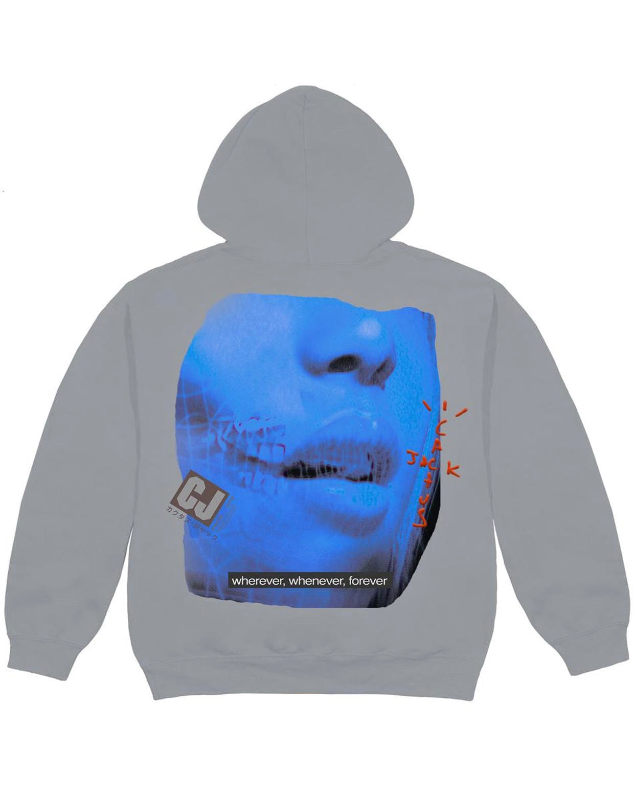 Travis Scott CJ DIGITAL GIRL